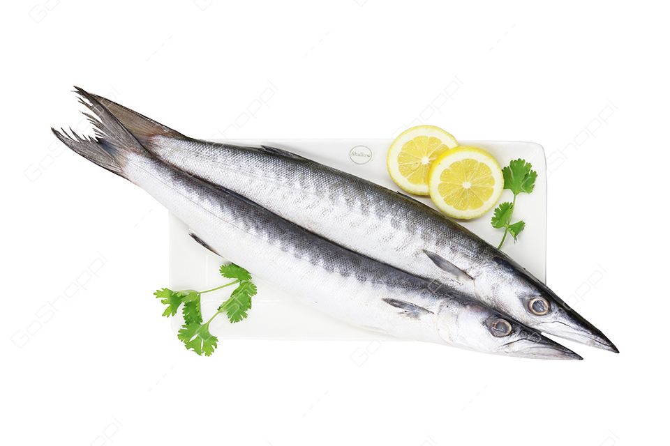 Barracudadinner