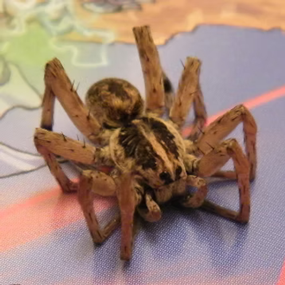 Bug3