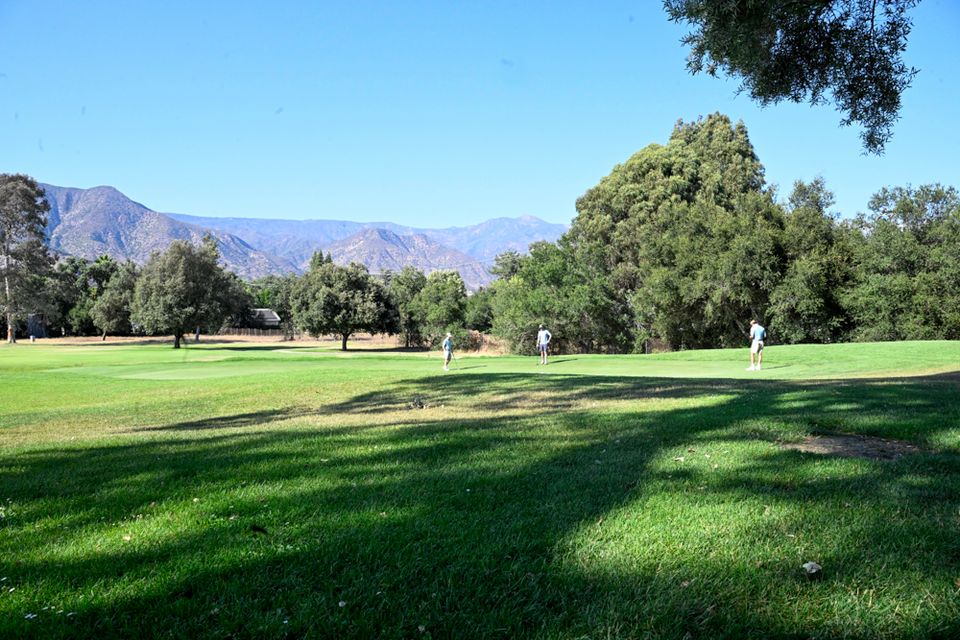 Golf 16