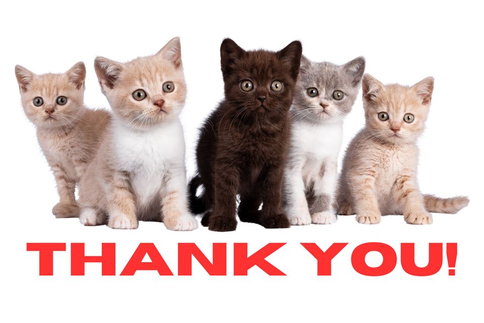 Thank you!