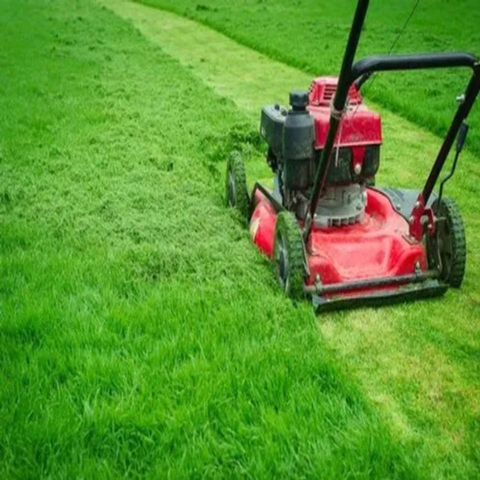Lawn maintenance service 500x500
