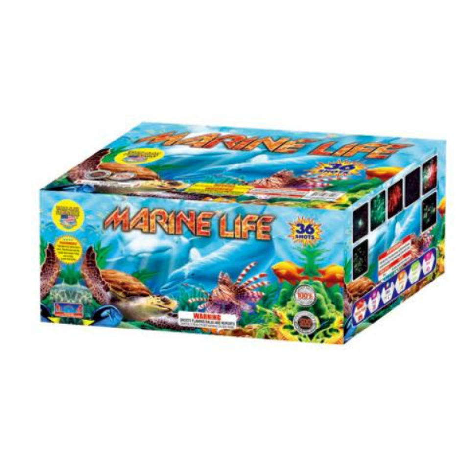 Marine life cv