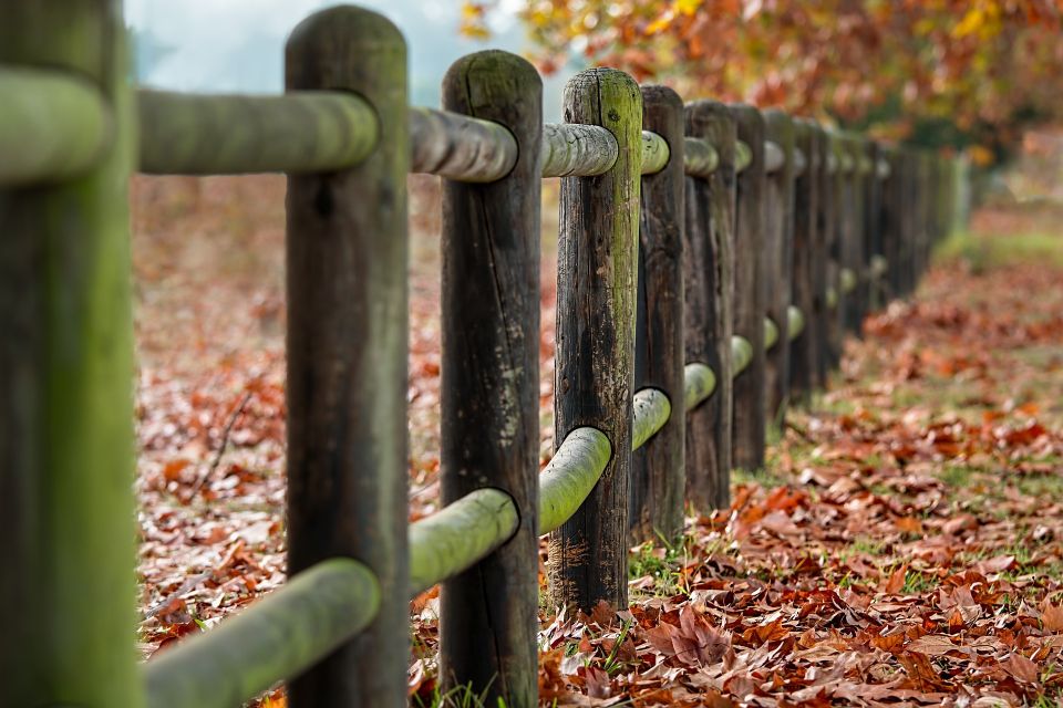 Fence posts eb36b20e2c 1920