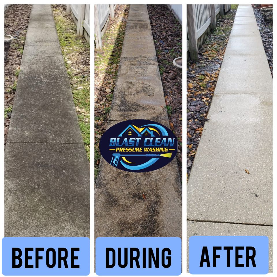 Sidewalk mold removal tampa (1)