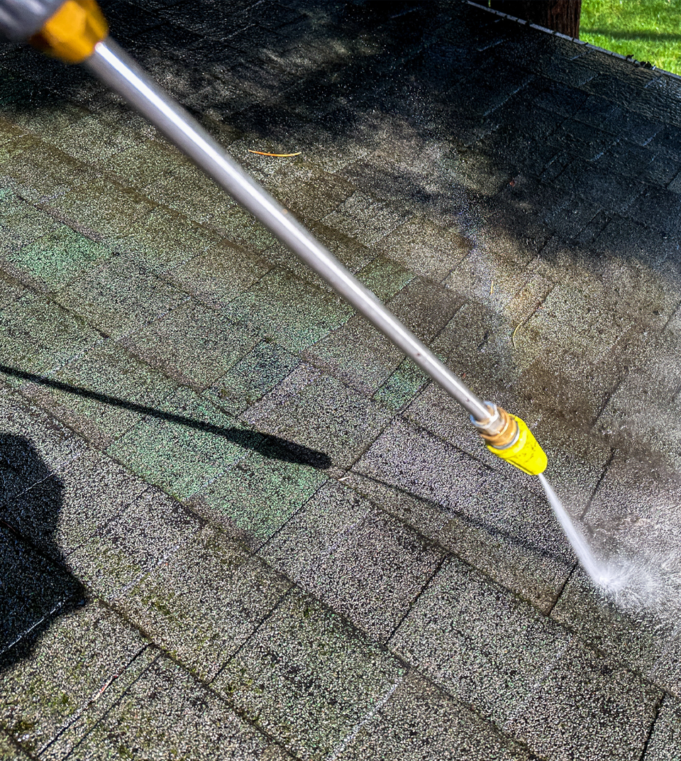 Roof cleaning