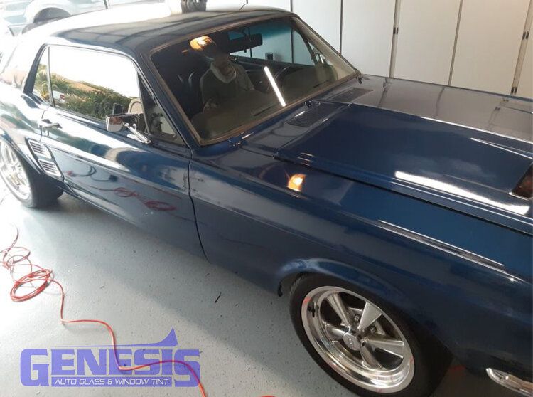 Genesis mustang 