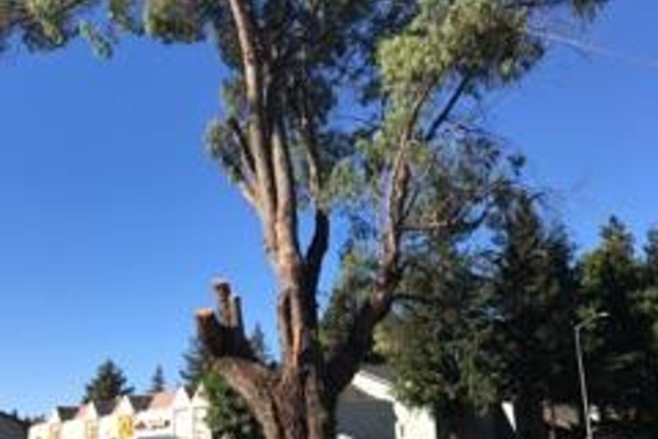 Img9570141