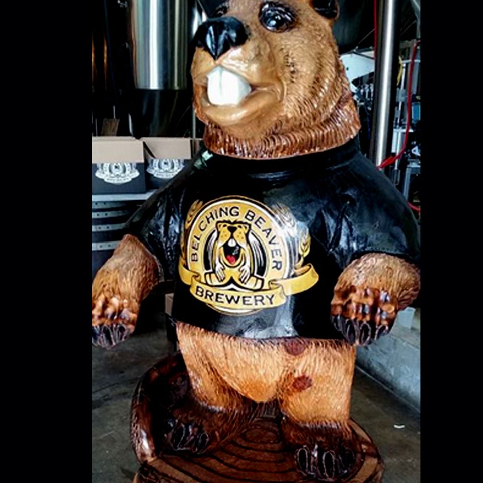 Tshirt bear