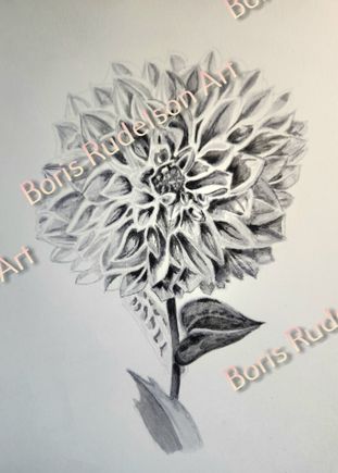 Greyscale Markers. Pion