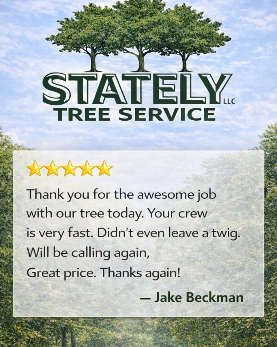 Tesimonial jake beckman