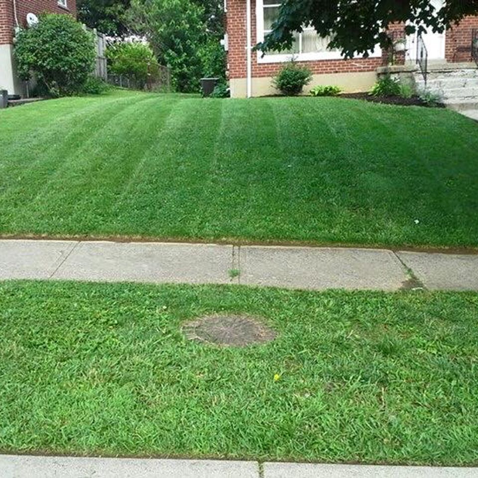 Grass enforcers 11