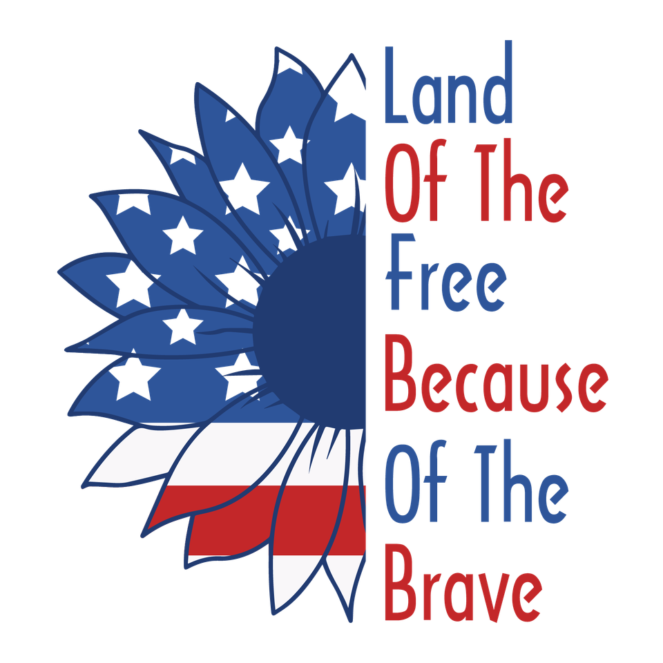Patriotic   land of the free because of the brave 2