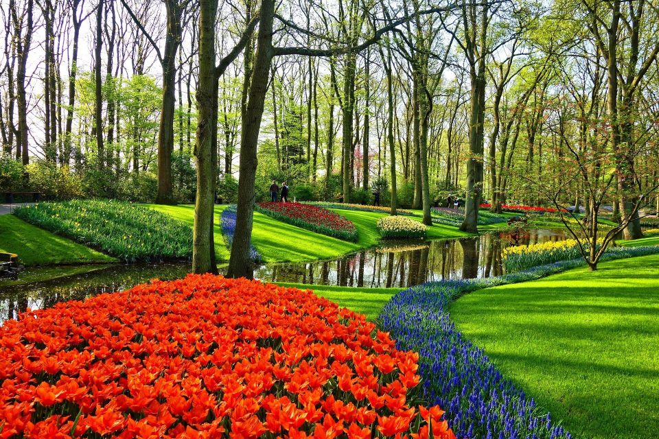 Garden g7afc0433a 1920