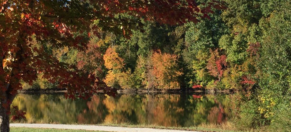 Tims ford lake  (1)