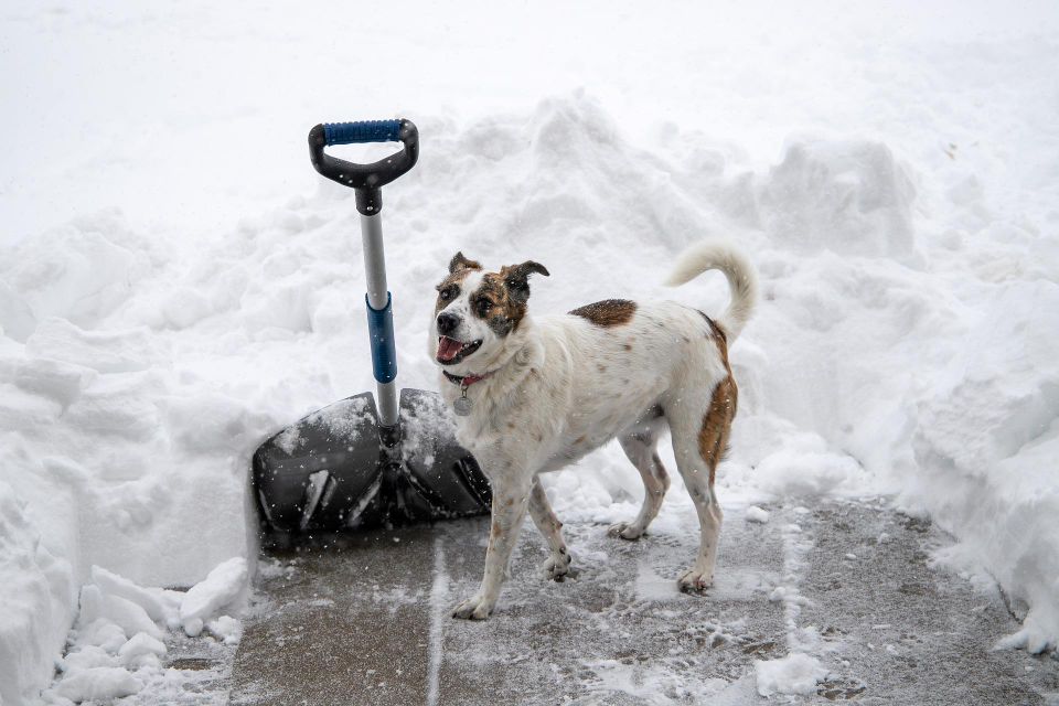 Snow shovel g2f79007a1 1920