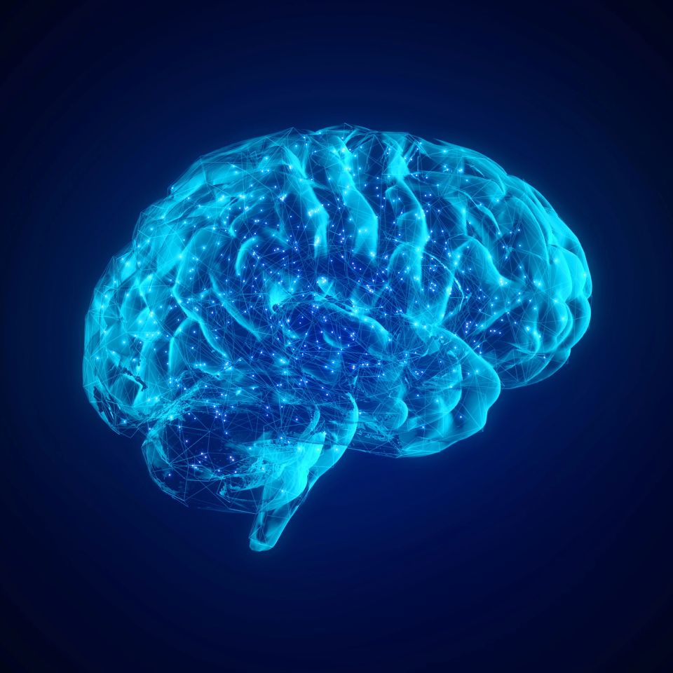 Glowing blue illustration of a human brain representing Brainstorm mental clarity IV therapy