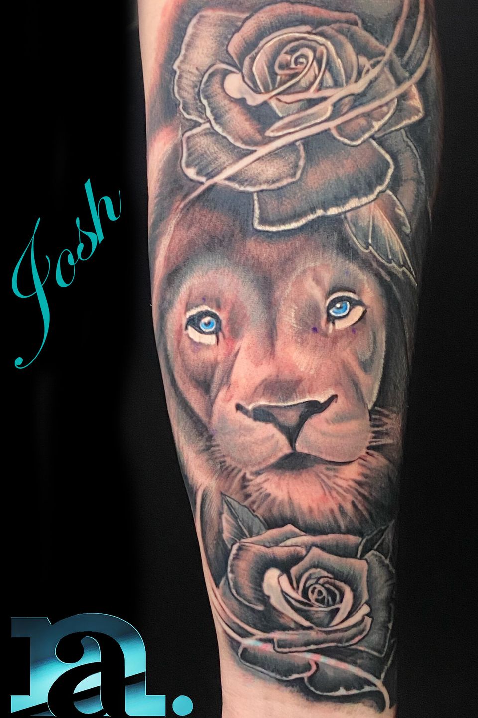 Josh lion rose