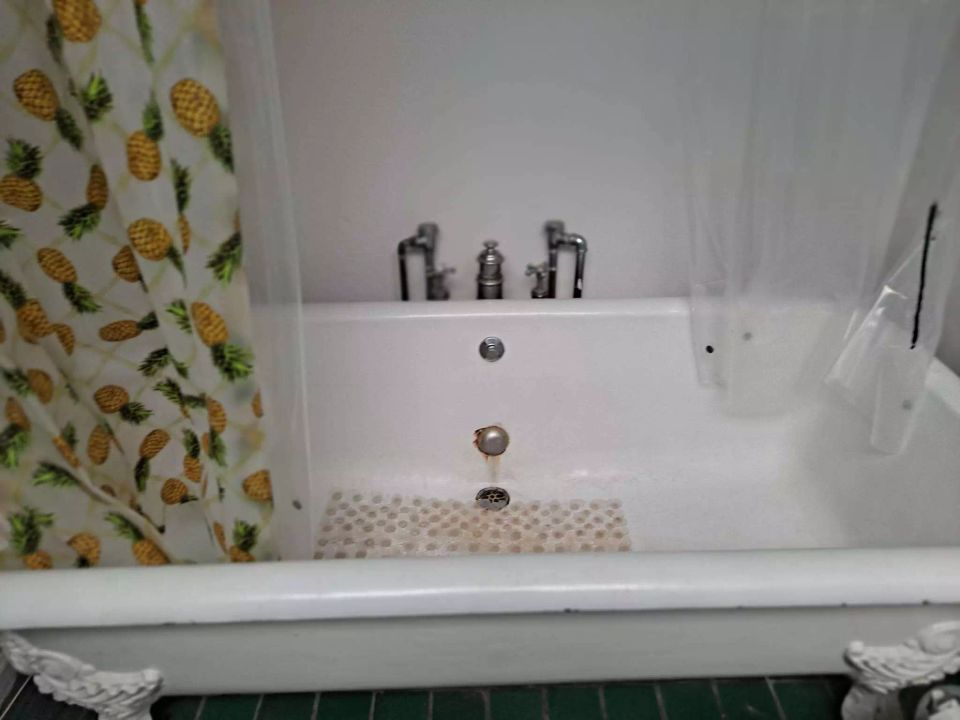 Geneva bath tub services