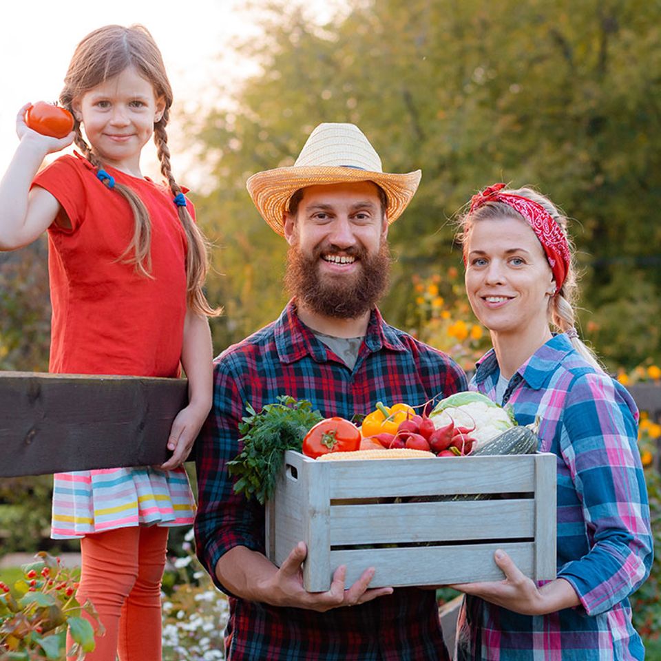 Bloir family farm 8