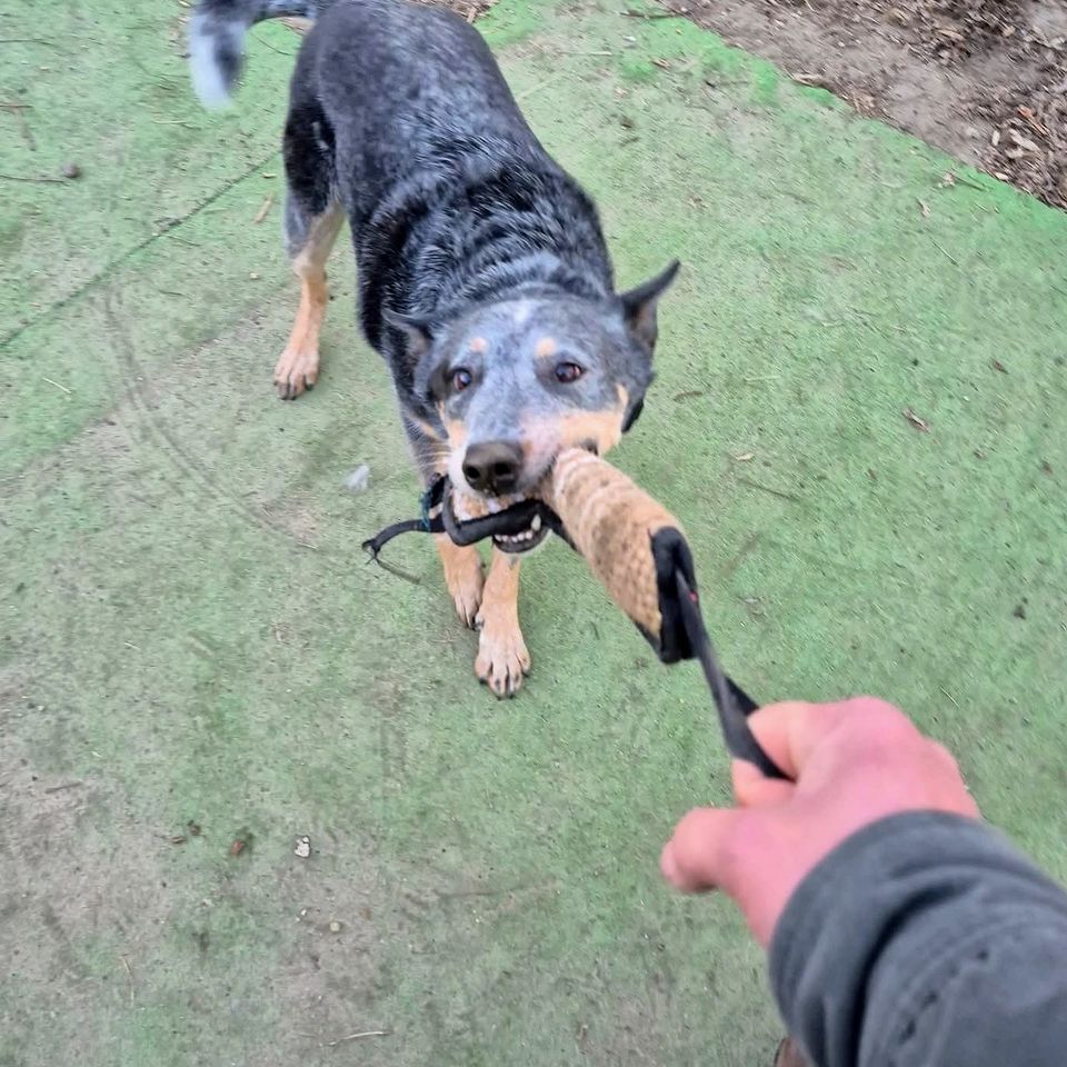 Fb img 1769435501311 2