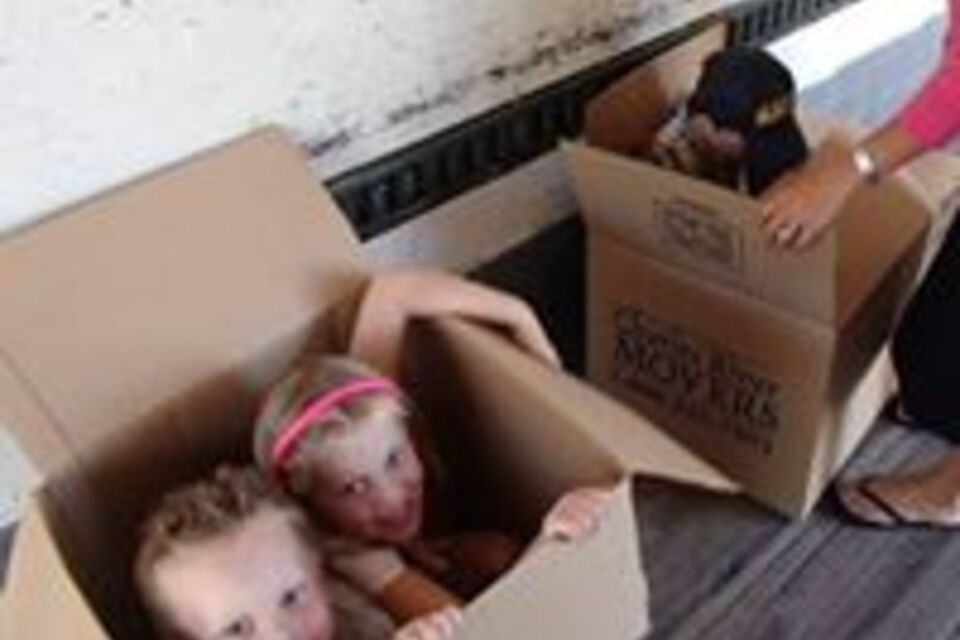 998916 994189060606804 7141606990451541958 n 960x960 1