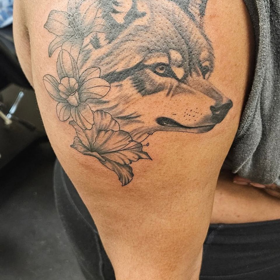 Fcbfe1df f9c0 480c b091 2c379ef00a31 1 all 2908