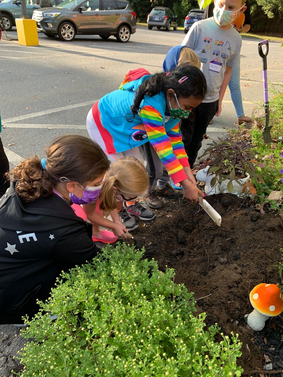 Childrens library daffodil planting