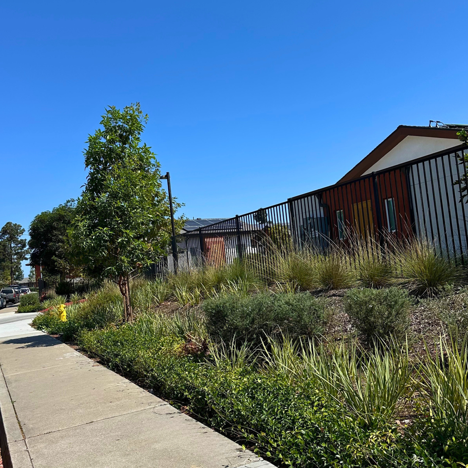 Levant senior cottage 