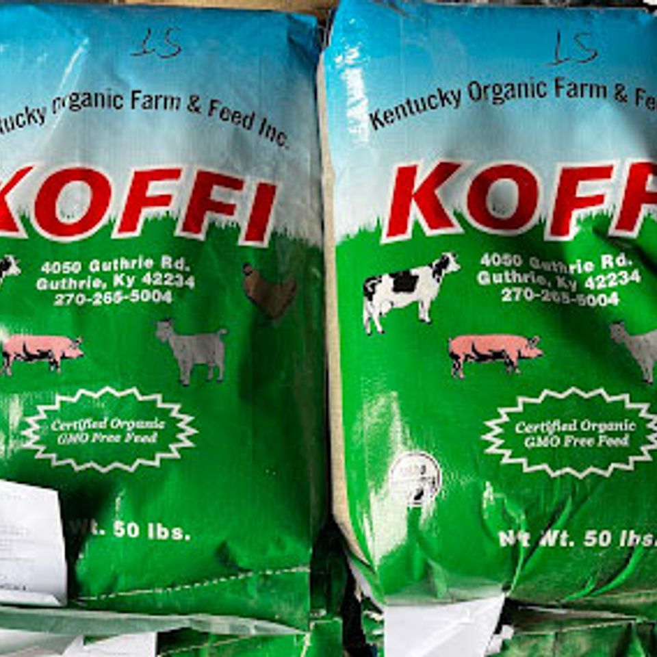 Koffi feed 2