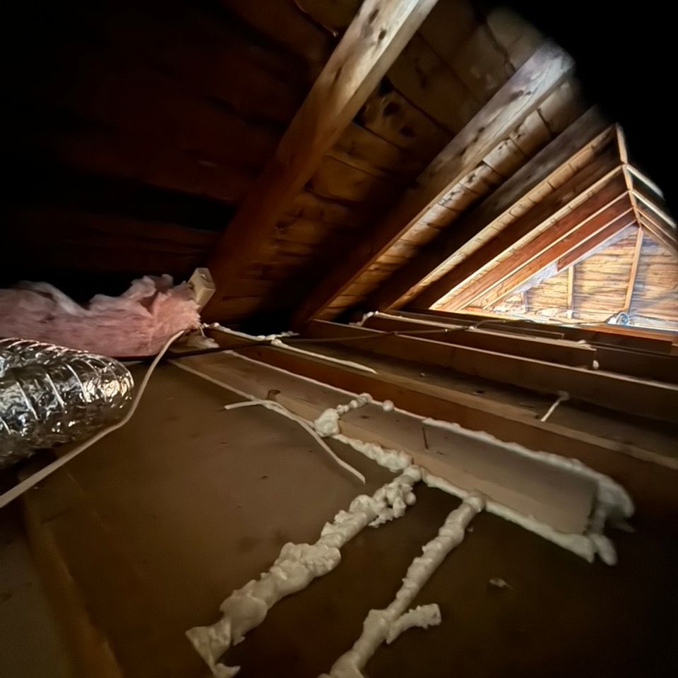 86538f36 189d 423a 8408 3b170d0beac0 1 105 c