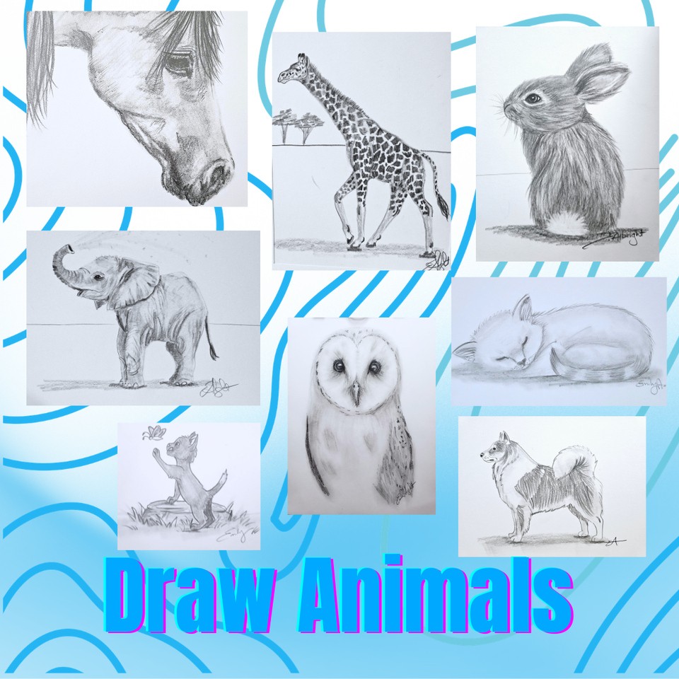 Draw animals