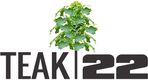 Teak 22 logo
