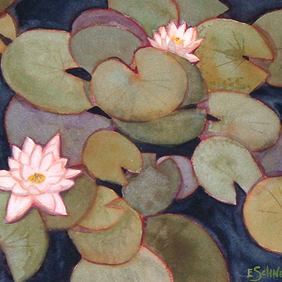 Lily pond lg