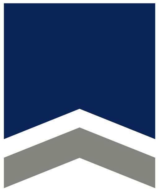 High school pennant 100
