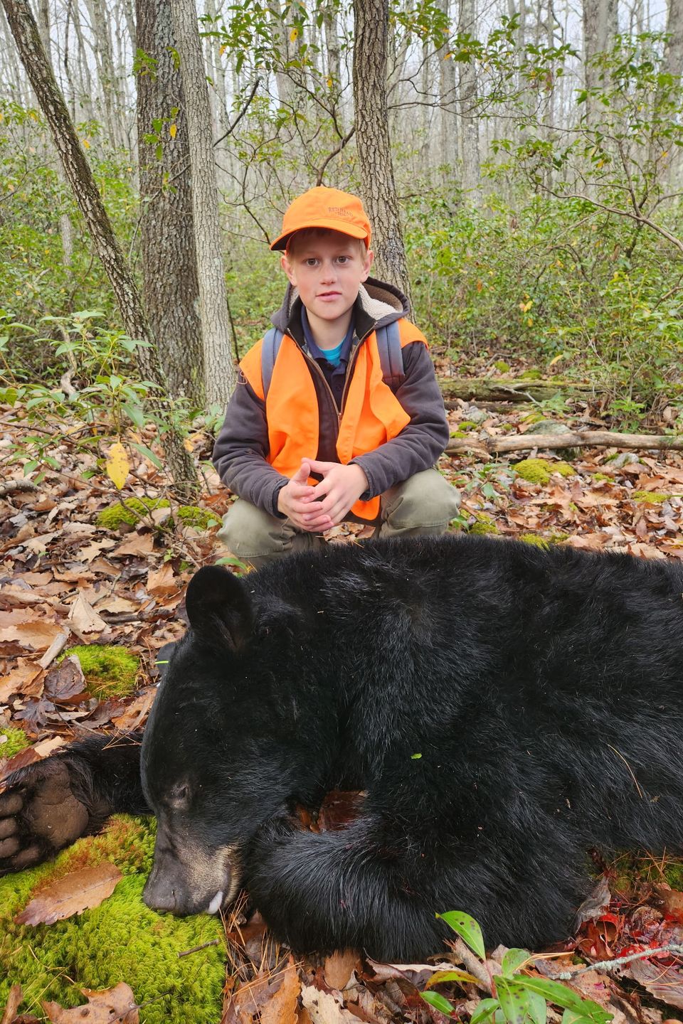 Zachary Conley, 11, of Mount Joy, PA bagged this 250 lb. (live weight) bear in Clinton County.