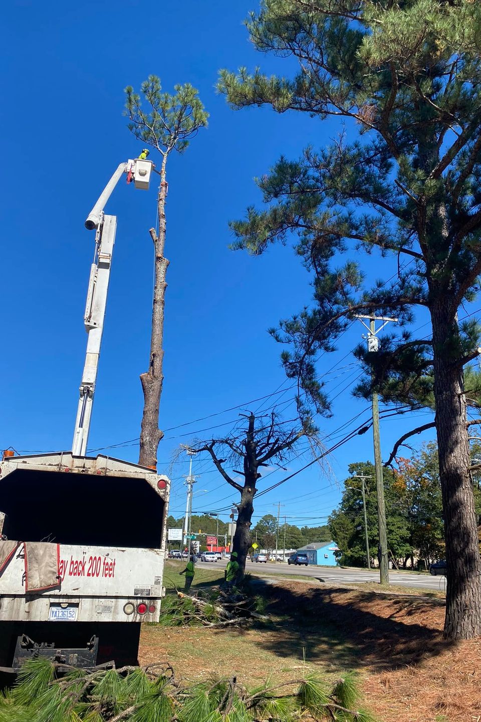 469334069 1491394701524002 646219979585115722 n