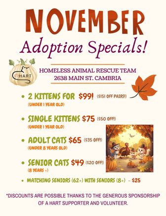 November adoption specials