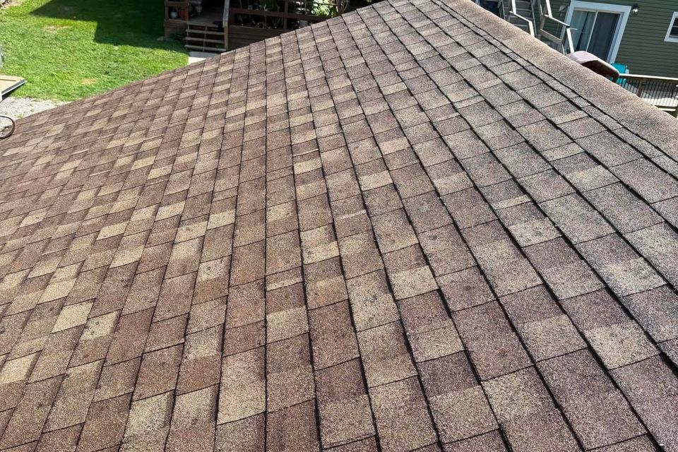 Clean brown asphalt shingle roof after roof cleaning on a Tillsonburg home