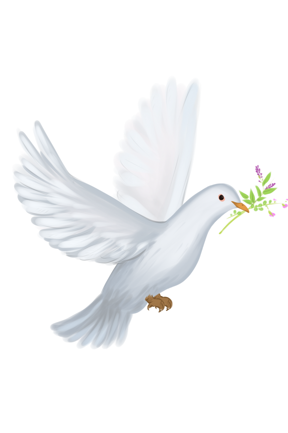 —pngtree—hand drawn dove peace dove 5446270
