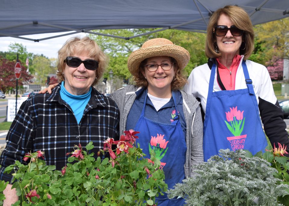 Sgc plant sale three