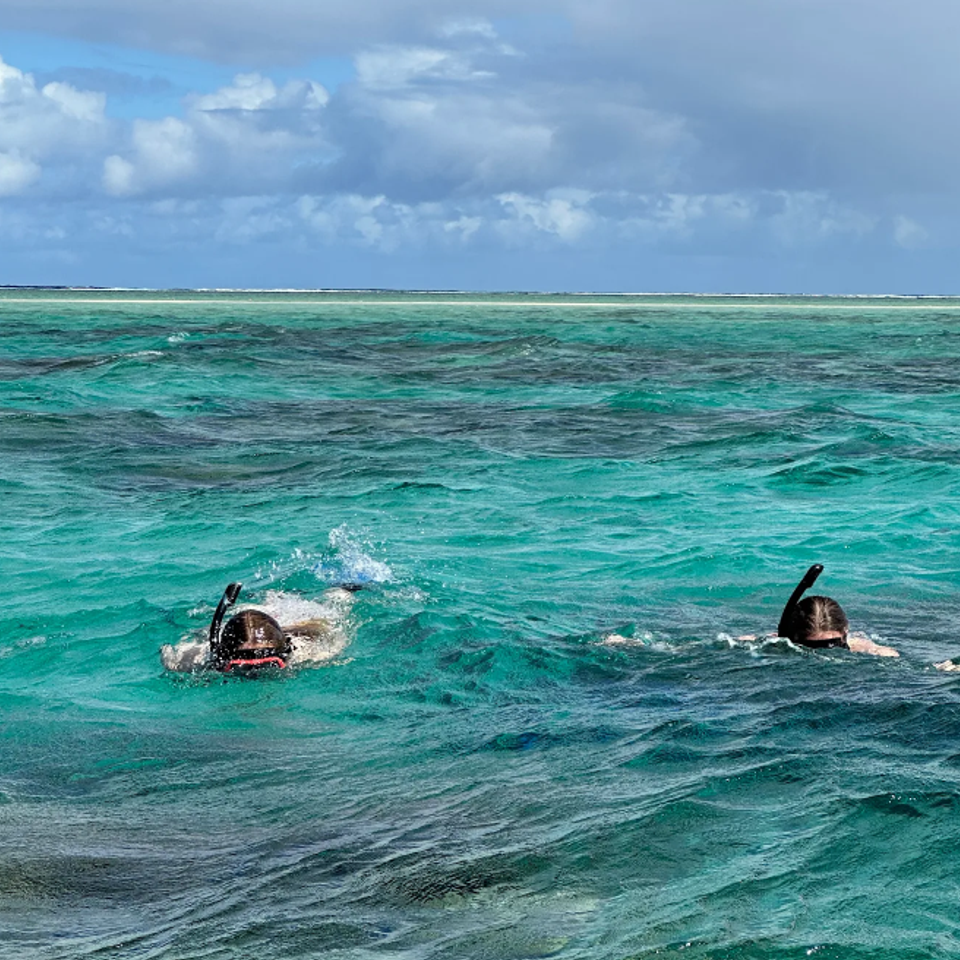 Snorkeling fiji