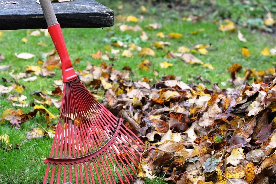 Rake ge19358a67 1920 original
