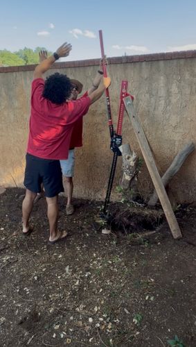 The old way &mdash; back-breaking stump removal