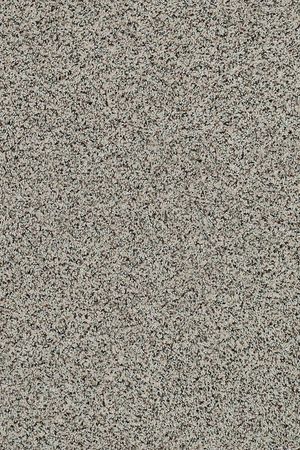 Angora classic iii   lamb  8.19