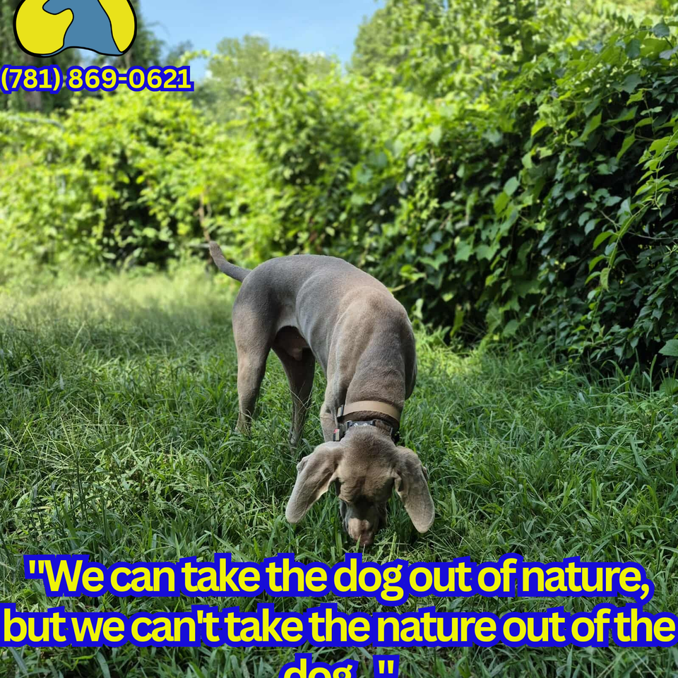 We can take the dog out of nature  but we can't take the nature out of the  20250813 100640 0000