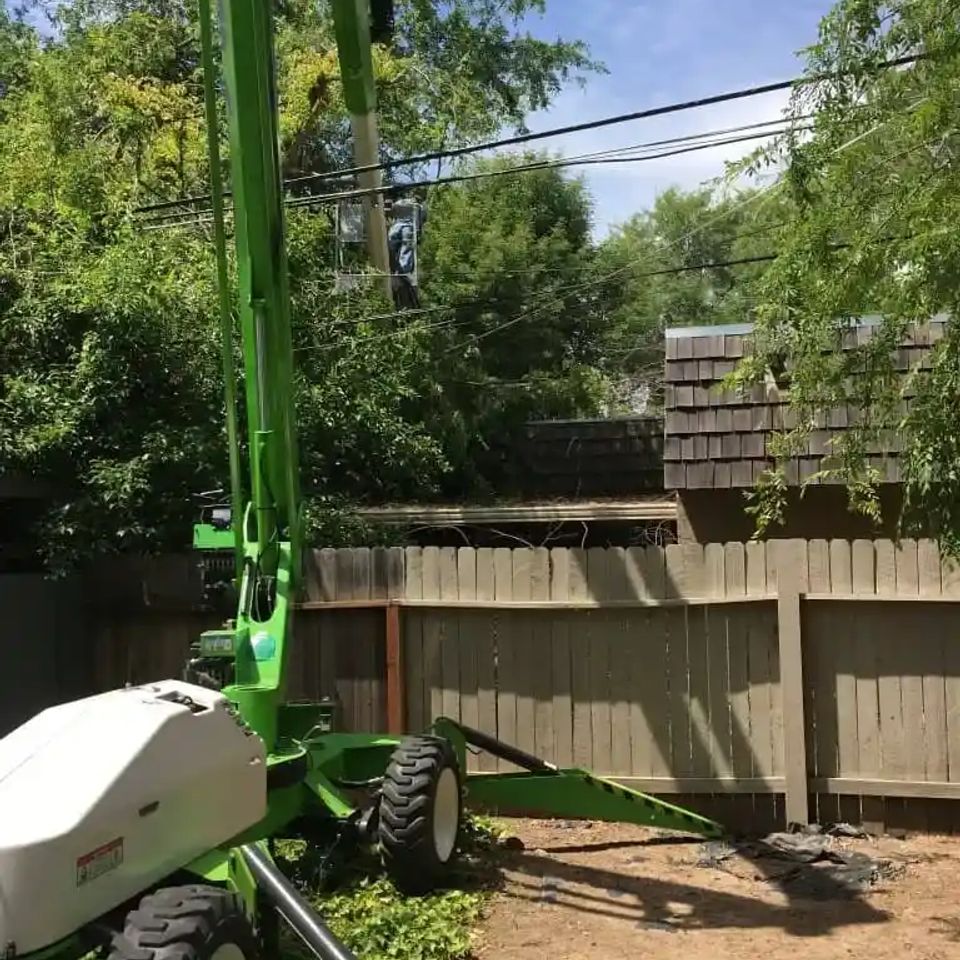 Professional arborist at Lyons Tree Service performing advanced aerial tree dismantling in Auburn, CA, using precision saws and safety harnesses for complex removals near residential structures.