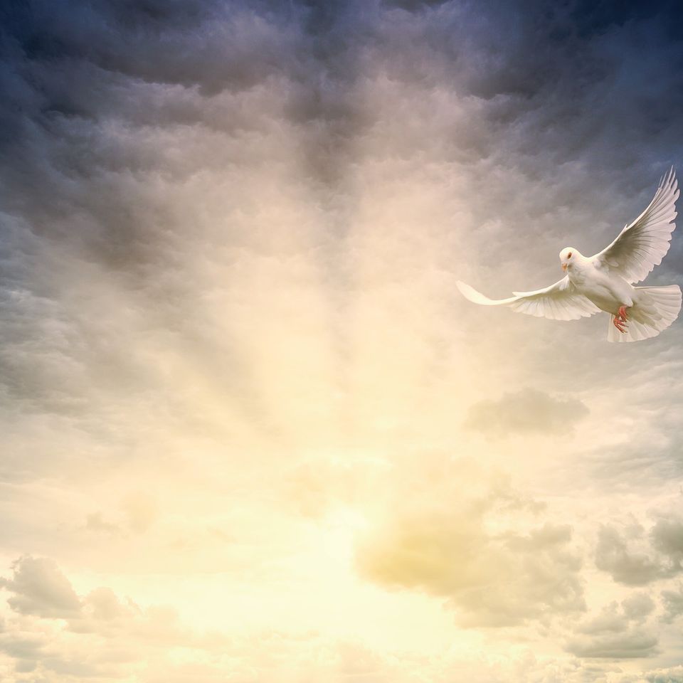 Psychic Readings by Angie in Las Vegas