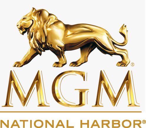 Mgm nh k lion copy