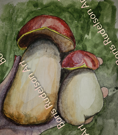 Porcini