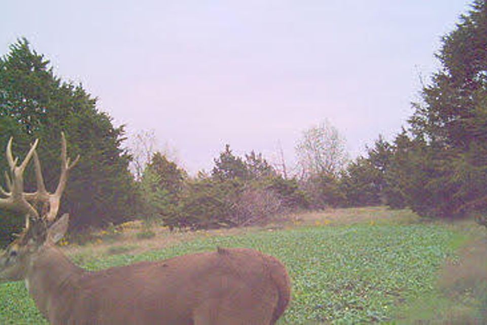 Onthehoof 1